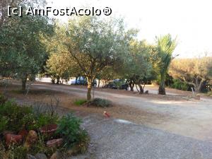 [P06] Agriturismo Sa Tiria gradina » foto by Primadona
 - 
<span class="allrVoted glyphicon glyphicon-heart hidden" id="av748701"></span>
<a class="m-l-10 hidden" id="sv748701" onclick="voting_Foto_DelVot(,748701,3391)" role="button">șterge vot <span class="glyphicon glyphicon-remove"></span></a>
<a id="v9748701" class=" c-red"  onclick="voting_Foto_SetVot(748701)" role="button"><span class="glyphicon glyphicon-heart-empty"></span> <b>LIKE</b> = Votează poza</a> <img class="hidden"  id="f748701W9" src="/imagini/loader.gif" border="0" /><span class="AjErrMes hidden" id="e748701ErM"></span>