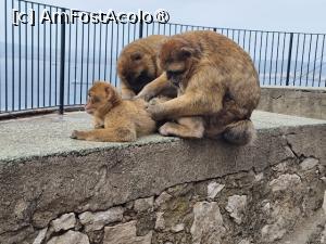 [P15]  -- <small>// FĂRĂ DESCRIERE</small> » foto by Maya_C
 - 
<span class="allrVoted glyphicon glyphicon-heart hidden" id="av1507243"></span>
<a class="m-l-10 hidden" id="sv1507243" onclick="voting_Foto_DelVot(,1507243,3397)" role="button">șterge vot <span class="glyphicon glyphicon-remove"></span></a>
<a id="v91507243" class=" c-red"  onclick="voting_Foto_SetVot(1507243)" role="button"><span class="glyphicon glyphicon-heart-empty"></span> <b>LIKE</b> = Votează poza</a> <img class="hidden"  id="f1507243W9" src="/imagini/loader.gif" border="0" /><span class="AjErrMes hidden" id="e1507243ErM"></span>