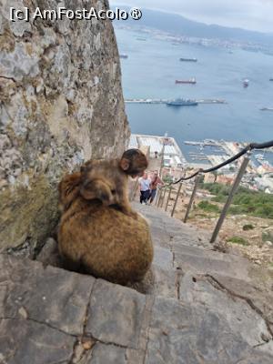 [P27]  -- <small>// FĂRĂ DESCRIERE</small> » foto by Maya_C
 - 
<span class="allrVoted glyphicon glyphicon-heart hidden" id="av1507255"></span>
<a class="m-l-10 hidden" id="sv1507255" onclick="voting_Foto_DelVot(,1507255,3397)" role="button">șterge vot <span class="glyphicon glyphicon-remove"></span></a>
<a id="v91507255" class=" c-red"  onclick="voting_Foto_SetVot(1507255)" role="button"><span class="glyphicon glyphicon-heart-empty"></span> <b>LIKE</b> = Votează poza</a> <img class="hidden"  id="f1507255W9" src="/imagini/loader.gif" border="0" /><span class="AjErrMes hidden" id="e1507255ErM"></span>