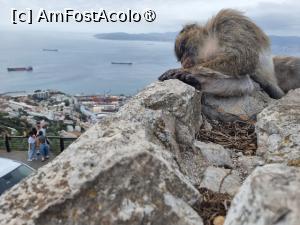 [P29]  -- <small>// FĂRĂ DESCRIERE</small> » foto by Maya_C
 - 
<span class="allrVoted glyphicon glyphicon-heart hidden" id="av1507257"></span>
<a class="m-l-10 hidden" id="sv1507257" onclick="voting_Foto_DelVot(,1507257,3397)" role="button">șterge vot <span class="glyphicon glyphicon-remove"></span></a>
<a id="v91507257" class=" c-red"  onclick="voting_Foto_SetVot(1507257)" role="button"><span class="glyphicon glyphicon-heart-empty"></span> <b>LIKE</b> = Votează poza</a> <img class="hidden"  id="f1507257W9" src="/imagini/loader.gif" border="0" /><span class="AjErrMes hidden" id="e1507257ErM"></span>