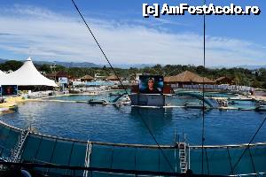 [P45] Antibes. La Marineland » foto by ciprian.dima
 - 
<span class="allrVoted glyphicon glyphicon-heart hidden" id="av632944"></span>
<a class="m-l-10 hidden" id="sv632944" onclick="voting_Foto_DelVot(,632944,3404)" role="button">șterge vot <span class="glyphicon glyphicon-remove"></span></a>
<a id="v9632944" class=" c-red"  onclick="voting_Foto_SetVot(632944)" role="button"><span class="glyphicon glyphicon-heart-empty"></span> <b>LIKE</b> = Votează poza</a> <img class="hidden"  id="f632944W9" src="/imagini/loader.gif" border="0" /><span class="AjErrMes hidden" id="e632944ErM"></span>