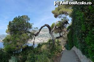 [P68] Cap Martin - promenade Le Corbusier » foto by nickro
 - 
<span class="allrVoted glyphicon glyphicon-heart hidden" id="av354484"></span>
<a class="m-l-10 hidden" id="sv354484" onclick="voting_Foto_DelVot(,354484,3404)" role="button">șterge vot <span class="glyphicon glyphicon-remove"></span></a>
<a id="v9354484" class=" c-red"  onclick="voting_Foto_SetVot(354484)" role="button"><span class="glyphicon glyphicon-heart-empty"></span> <b>LIKE</b> = Votează poza</a> <img class="hidden"  id="f354484W9" src="/imagini/loader.gif" border="0" /><span class="AjErrMes hidden" id="e354484ErM"></span>