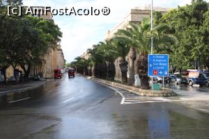 [P41] Valletta, Frumoasa stradă cu palmieri, Strada Sf. Ana » foto by mprofeanu
 - 
<span class="allrVoted glyphicon glyphicon-heart hidden" id="av1273512"></span>
<a class="m-l-10 hidden" id="sv1273512" onclick="voting_Foto_DelVot(,1273512,3405)" role="button">șterge vot <span class="glyphicon glyphicon-remove"></span></a>
<a id="v91273512" class=" c-red"  onclick="voting_Foto_SetVot(1273512)" role="button"><span class="glyphicon glyphicon-heart-empty"></span> <b>LIKE</b> = Votează poza</a> <img class="hidden"  id="f1273512W9" src="/imagini/loader.gif" border="0" /><span class="AjErrMes hidden" id="e1273512ErM"></span>