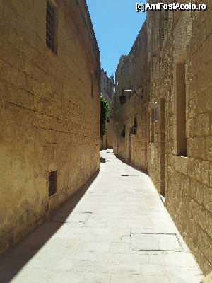 [P11] o straduta in orasul Mdina » foto by popescuionut
 - 
<span class="allrVoted glyphicon glyphicon-heart hidden" id="av340380"></span>
<a class="m-l-10 hidden" id="sv340380" onclick="voting_Foto_DelVot(,340380,3405)" role="button">șterge vot <span class="glyphicon glyphicon-remove"></span></a>
<a id="v9340380" class=" c-red"  onclick="voting_Foto_SetVot(340380)" role="button"><span class="glyphicon glyphicon-heart-empty"></span> <b>LIKE</b> = Votează poza</a> <img class="hidden"  id="f340380W9" src="/imagini/loader.gif" border="0" /><span class="AjErrMes hidden" id="e340380ErM"></span>