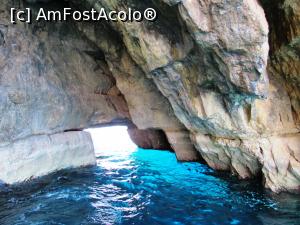 [P19] Si stanca devine albastra » foto by Radu Tudoran
 - 
<span class="allrVoted glyphicon glyphicon-heart hidden" id="av812969"></span>
<a class="m-l-10 hidden" id="sv812969" onclick="voting_Foto_DelVot(,812969,3405)" role="button">șterge vot <span class="glyphicon glyphicon-remove"></span></a>
<a id="v9812969" class=" c-red"  onclick="voting_Foto_SetVot(812969)" role="button"><span class="glyphicon glyphicon-heart-empty"></span> <b>LIKE</b> = Votează poza</a> <img class="hidden"  id="f812969W9" src="/imagini/loader.gif" border="0" /><span class="AjErrMes hidden" id="e812969ErM"></span>