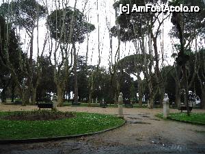 [P14] pini superbi şi statui în Vila Borghese » foto by marocanu21
 - 
<span class="allrVoted glyphicon glyphicon-heart hidden" id="av485171"></span>
<a class="m-l-10 hidden" id="sv485171" onclick="voting_Foto_DelVot(,485171,3406)" role="button">șterge vot <span class="glyphicon glyphicon-remove"></span></a>
<a id="v9485171" class=" c-red"  onclick="voting_Foto_SetVot(485171)" role="button"><span class="glyphicon glyphicon-heart-empty"></span> <b>LIKE</b> = Votează poza</a> <img class="hidden"  id="f485171W9" src="/imagini/loader.gif" border="0" /><span class="AjErrMes hidden" id="e485171ErM"></span>