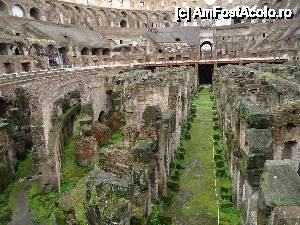 [P22] subbsolul Colosseum-ului » foto by marocanu21
 - 
<span class="allrVoted glyphicon glyphicon-heart hidden" id="av485179"></span>
<a class="m-l-10 hidden" id="sv485179" onclick="voting_Foto_DelVot(,485179,3406)" role="button">șterge vot <span class="glyphicon glyphicon-remove"></span></a>
<a id="v9485179" class=" c-red"  onclick="voting_Foto_SetVot(485179)" role="button"><span class="glyphicon glyphicon-heart-empty"></span> <b>LIKE</b> = Votează poza</a> <img class="hidden"  id="f485179W9" src="/imagini/loader.gif" border="0" /><span class="AjErrMes hidden" id="e485179ErM"></span>