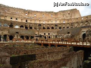 [P24] interiorul Colosseum-ului » foto by marocanu21
 - 
<span class="allrVoted glyphicon glyphicon-heart hidden" id="av485181"></span>
<a class="m-l-10 hidden" id="sv485181" onclick="voting_Foto_DelVot(,485181,3406)" role="button">șterge vot <span class="glyphicon glyphicon-remove"></span></a>
<a id="v9485181" class=" c-red"  onclick="voting_Foto_SetVot(485181)" role="button"><span class="glyphicon glyphicon-heart-empty"></span> <b>LIKE</b> = Votează poza</a> <img class="hidden"  id="f485181W9" src="/imagini/loader.gif" border="0" /><span class="AjErrMes hidden" id="e485181ErM"></span>