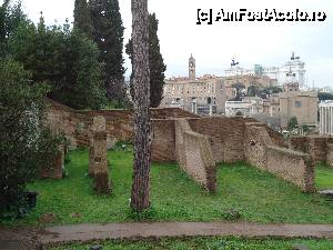 [P29] vedere spre Forumul Roman şi Piazza Venezia » foto by marocanu21
 - 
<span class="allrVoted glyphicon glyphicon-heart hidden" id="av485186"></span>
<a class="m-l-10 hidden" id="sv485186" onclick="voting_Foto_DelVot(,485186,3406)" role="button">șterge vot <span class="glyphicon glyphicon-remove"></span></a>
<a id="v9485186" class=" c-red"  onclick="voting_Foto_SetVot(485186)" role="button"><span class="glyphicon glyphicon-heart-empty"></span> <b>LIKE</b> = Votează poza</a> <img class="hidden"  id="f485186W9" src="/imagini/loader.gif" border="0" /><span class="AjErrMes hidden" id="e485186ErM"></span>