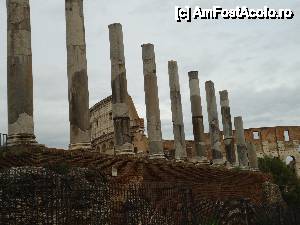 [P33] coloane Forumul Roman » foto by marocanu21
 - 
<span class="allrVoted glyphicon glyphicon-heart hidden" id="av485190"></span>
<a class="m-l-10 hidden" id="sv485190" onclick="voting_Foto_DelVot(,485190,3406)" role="button">șterge vot <span class="glyphicon glyphicon-remove"></span></a>
<a id="v9485190" class=" c-red"  onclick="voting_Foto_SetVot(485190)" role="button"><span class="glyphicon glyphicon-heart-empty"></span> <b>LIKE</b> = Votează poza</a> <img class="hidden"  id="f485190W9" src="/imagini/loader.gif" border="0" /><span class="AjErrMes hidden" id="e485190ErM"></span>