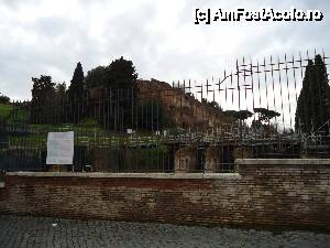 [P34] ruine Palatino » foto by marocanu21
 - 
<span class="allrVoted glyphicon glyphicon-heart hidden" id="av485191"></span>
<a class="m-l-10 hidden" id="sv485191" onclick="voting_Foto_DelVot(,485191,3406)" role="button">șterge vot <span class="glyphicon glyphicon-remove"></span></a>
<a id="v9485191" class=" c-red"  onclick="voting_Foto_SetVot(485191)" role="button"><span class="glyphicon glyphicon-heart-empty"></span> <b>LIKE</b> = Votează poza</a> <img class="hidden"  id="f485191W9" src="/imagini/loader.gif" border="0" /><span class="AjErrMes hidden" id="e485191ErM"></span>