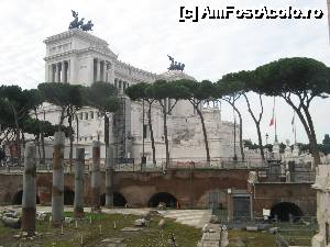 [P01] Pinus Pinea sau pinii umbrela din Roma » foto by vlado2
 - 
<span class="allrVoted glyphicon glyphicon-heart hidden" id="av488353"></span>
<a class="m-l-10 hidden" id="sv488353" onclick="voting_Foto_DelVot(,488353,3406)" role="button">șterge vot <span class="glyphicon glyphicon-remove"></span></a>
<a id="v9488353" class=" c-red"  onclick="voting_Foto_SetVot(488353)" role="button"><span class="glyphicon glyphicon-heart-empty"></span> <b>LIKE</b> = Votează poza</a> <img class="hidden"  id="f488353W9" src="/imagini/loader.gif" border="0" /><span class="AjErrMes hidden" id="e488353ErM"></span>