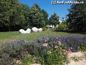 [P21]  -- <small>// FĂRĂ DESCRIERE</small> » foto by sniga
 - 
<span class="allrVoted glyphicon glyphicon-heart hidden" id="av636158"></span>
<a class="m-l-10 hidden" id="sv636158" onclick="voting_Foto_DelVot(,636158,3407)" role="button">șterge vot <span class="glyphicon glyphicon-remove"></span></a>
<a id="v9636158" class=" c-red"  onclick="voting_Foto_SetVot(636158)" role="button"><span class="glyphicon glyphicon-heart-empty"></span> <b>LIKE</b> = Votează poza</a> <img class="hidden"  id="f636158W9" src="/imagini/loader.gif" border="0" /><span class="AjErrMes hidden" id="e636158ErM"></span>