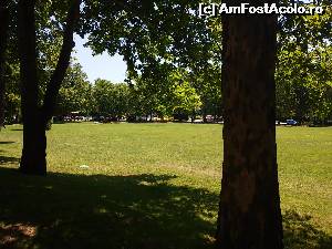 [P35]  -- <small>// FĂRĂ DESCRIERE</small> » foto by sniga
 - 
<span class="allrVoted glyphicon glyphicon-heart hidden" id="av636173"></span>
<a class="m-l-10 hidden" id="sv636173" onclick="voting_Foto_DelVot(,636173,3407)" role="button">șterge vot <span class="glyphicon glyphicon-remove"></span></a>
<a id="v9636173" class=" c-red"  onclick="voting_Foto_SetVot(636173)" role="button"><span class="glyphicon glyphicon-heart-empty"></span> <b>LIKE</b> = Votează poza</a> <img class="hidden"  id="f636173W9" src="/imagini/loader.gif" border="0" /><span class="AjErrMes hidden" id="e636173ErM"></span>