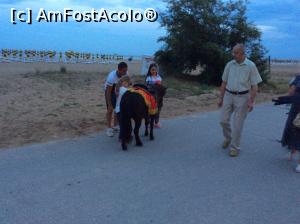 [P24] Puteti si calari » foto by mishu
 - 
<span class="allrVoted glyphicon glyphicon-heart hidden" id="av760328"></span>
<a class="m-l-10 hidden" id="sv760328" onclick="voting_Foto_DelVot(,760328,3407)" role="button">șterge vot <span class="glyphicon glyphicon-remove"></span></a>
<a id="v9760328" class=" c-red"  onclick="voting_Foto_SetVot(760328)" role="button"><span class="glyphicon glyphicon-heart-empty"></span> <b>LIKE</b> = Votează poza</a> <img class="hidden"  id="f760328W9" src="/imagini/loader.gif" border="0" /><span class="AjErrMes hidden" id="e760328ErM"></span>