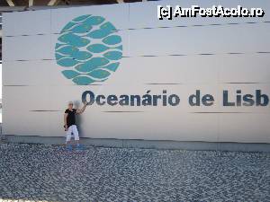 [P40] Oceanariul din lisabona, cel mai mare din Europa prezinta flora si fauna marina din toate oceanele lumii » foto by bica adriana
 - 
<span class="allrVoted glyphicon glyphicon-heart hidden" id="av513554"></span>
<a class="m-l-10 hidden" id="sv513554" onclick="voting_Foto_DelVot(,513554,3414)" role="button">șterge vot <span class="glyphicon glyphicon-remove"></span></a>
<a id="v9513554" class=" c-red"  onclick="voting_Foto_SetVot(513554)" role="button"><span class="glyphicon glyphicon-heart-empty"></span> <b>LIKE</b> = Votează poza</a> <img class="hidden"  id="f513554W9" src="/imagini/loader.gif" border="0" /><span class="AjErrMes hidden" id="e513554ErM"></span>