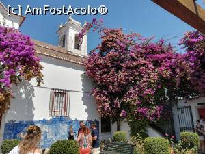 [P02] Alfama - Miradouro de Santa Luzia » foto by Mika
 - 
<span class="allrVoted glyphicon glyphicon-heart hidden" id="av1121724"></span>
<a class="m-l-10 hidden" id="sv1121724" onclick="voting_Foto_DelVot(,1121724,3414)" role="button">șterge vot <span class="glyphicon glyphicon-remove"></span></a>
<a id="v91121724" class=" c-red"  onclick="voting_Foto_SetVot(1121724)" role="button"><span class="glyphicon glyphicon-heart-empty"></span> <b>LIKE</b> = Votează poza</a> <img class="hidden"  id="f1121724W9" src="/imagini/loader.gif" border="0" /><span class="AjErrMes hidden" id="e1121724ErM"></span>