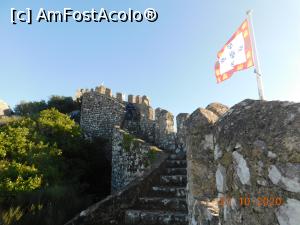 [P37] De la Castelul Maurilor, Sintra » foto by irinad
 - 
<span class="allrVoted glyphicon glyphicon-heart hidden" id="av1220122"></span>
<a class="m-l-10 hidden" id="sv1220122" onclick="voting_Foto_DelVot(,1220122,3414)" role="button">șterge vot <span class="glyphicon glyphicon-remove"></span></a>
<a id="v91220122" class=" c-red"  onclick="voting_Foto_SetVot(1220122)" role="button"><span class="glyphicon glyphicon-heart-empty"></span> <b>LIKE</b> = Votează poza</a> <img class="hidden"  id="f1220122W9" src="/imagini/loader.gif" border="0" /><span class="AjErrMes hidden" id="e1220122ErM"></span>