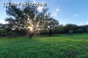 [P48] Cork Trees - Arrabida » foto by florentina02
 - 
<span class="allrVoted glyphicon glyphicon-heart hidden" id="av1340702"></span>
<a class="m-l-10 hidden" id="sv1340702" onclick="voting_Foto_DelVot(,1340702,3414)" role="button">șterge vot <span class="glyphicon glyphicon-remove"></span></a>
<a id="v91340702" class=" c-red"  onclick="voting_Foto_SetVot(1340702)" role="button"><span class="glyphicon glyphicon-heart-empty"></span> <b>LIKE</b> = Votează poza</a> <img class="hidden"  id="f1340702W9" src="/imagini/loader.gif" border="0" /><span class="AjErrMes hidden" id="e1340702ErM"></span>