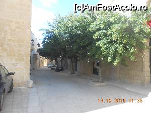 [P30] O stradă... înverzită. Mașinile sunt ale localnicilor, în Mdina se circulă pietonal.  » foto by Rodel
 - 
<span class="allrVoted glyphicon glyphicon-heart hidden" id="av693234"></span>
<a class="m-l-10 hidden" id="sv693234" onclick="voting_Foto_DelVot(,693234,3421)" role="button">șterge vot <span class="glyphicon glyphicon-remove"></span></a>
<a id="v9693234" class=" c-red"  onclick="voting_Foto_SetVot(693234)" role="button"><span class="glyphicon glyphicon-heart-empty"></span> <b>LIKE</b> = Votează poza</a> <img class="hidden"  id="f693234W9" src="/imagini/loader.gif" border="0" /><span class="AjErrMes hidden" id="e693234ErM"></span>