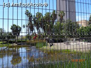 [P12] Exterior La Brea Tar Pits » foto by narcisa
 - 
<span class="allrVoted glyphicon glyphicon-heart hidden" id="av853257"></span>
<a class="m-l-10 hidden" id="sv853257" onclick="voting_Foto_DelVot(,853257,3459)" role="button">șterge vot <span class="glyphicon glyphicon-remove"></span></a>
<a id="v9853257" class=" c-red"  onclick="voting_Foto_SetVot(853257)" role="button"><span class="glyphicon glyphicon-heart-empty"></span> <b>LIKE</b> = Votează poza</a> <img class="hidden"  id="f853257W9" src="/imagini/loader.gif" border="0" /><span class="AjErrMes hidden" id="e853257ErM"></span>