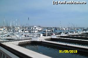 [P12] Marina del Rey pontoane si vedere spre golf » foto by delia58
 - 
<span class="allrVoted glyphicon glyphicon-heart hidden" id="av518579"></span>
<a class="m-l-10 hidden" id="sv518579" onclick="voting_Foto_DelVot(,518579,3459)" role="button">șterge vot <span class="glyphicon glyphicon-remove"></span></a>
<a id="v9518579" class=" c-red"  onclick="voting_Foto_SetVot(518579)" role="button"><span class="glyphicon glyphicon-heart-empty"></span> <b>LIKE</b> = Votează poza</a> <img class="hidden"  id="f518579W9" src="/imagini/loader.gif" border="0" /><span class="AjErrMes hidden" id="e518579ErM"></span>