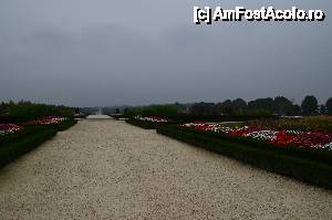 [P11] Torino, Venaria Reale. Giardino a Fiori. În capătul aleii te răcorești în aerul ozonat de o frumoasă fântână arteziană.  » foto by unq
 - 
<span class="allrVoted glyphicon glyphicon-heart hidden" id="av476420"></span>
<a class="m-l-10 hidden" id="sv476420" onclick="voting_Foto_DelVot(,476420,3466)" role="button">șterge vot <span class="glyphicon glyphicon-remove"></span></a>
<a id="v9476420" class=" c-red"  onclick="voting_Foto_SetVot(476420)" role="button"><span class="glyphicon glyphicon-heart-empty"></span> <b>LIKE</b> = Votează poza</a> <img class="hidden"  id="f476420W9" src="/imagini/loader.gif" border="0" /><span class="AjErrMes hidden" id="e476420ErM"></span>