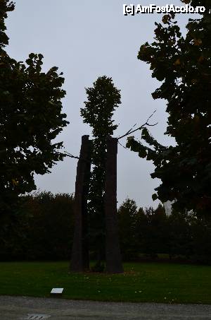 [P18] Torino, Venaria Reale. Il Giardino delle Sculture Fluide, Tra scorza e scorza (Printre coji și coaja) cea mai tare combinație de vegetați și metal pe care am văzut-o.  » foto by unq
 - 
<span class="allrVoted glyphicon glyphicon-heart hidden" id="av476427"></span>
<a class="m-l-10 hidden" id="sv476427" onclick="voting_Foto_DelVot(,476427,3466)" role="button">șterge vot <span class="glyphicon glyphicon-remove"></span></a>
<a id="v9476427" class=" c-red"  onclick="voting_Foto_SetVot(476427)" role="button"><span class="glyphicon glyphicon-heart-empty"></span> <b>LIKE</b> = Votează poza</a> <img class="hidden"  id="f476427W9" src="/imagini/loader.gif" border="0" /><span class="AjErrMes hidden" id="e476427ErM"></span>