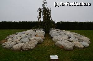 [P19] Torino, Venaria Reale. Il Giardino delle Sculture Fluide, Cervello di pietre. Arată ca un creier, nu? Probabil pomul reprezintă legătura acestuia cu corpul.  » foto by unq
 - 
<span class="allrVoted glyphicon glyphicon-heart hidden" id="av476428"></span>
<a class="m-l-10 hidden" id="sv476428" onclick="voting_Foto_DelVot(,476428,3466)" role="button">șterge vot <span class="glyphicon glyphicon-remove"></span></a>
<a id="v9476428" class=" c-red"  onclick="voting_Foto_SetVot(476428)" role="button"><span class="glyphicon glyphicon-heart-empty"></span> <b>LIKE</b> = Votează poza</a> <img class="hidden"  id="f476428W9" src="/imagini/loader.gif" border="0" /><span class="AjErrMes hidden" id="e476428ErM"></span>