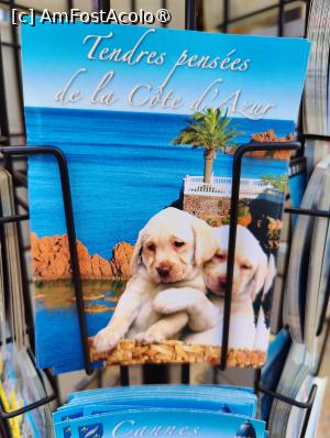 [P22] La pas prin Cannes » foto by crismis
 - 
<span class="allrVoted glyphicon glyphicon-heart hidden" id="av1522203"></span>
<a class="m-l-10 hidden" id="sv1522203" onclick="voting_Foto_DelVot(,1522203,3467)" role="button">șterge vot <span class="glyphicon glyphicon-remove"></span></a>
<a id="v91522203" class=" c-red"  onclick="voting_Foto_SetVot(1522203)" role="button"><span class="glyphicon glyphicon-heart-empty"></span> <b>LIKE</b> = Votează poza</a> <img class="hidden"  id="f1522203W9" src="/imagini/loader.gif" border="0" /><span class="AjErrMes hidden" id="e1522203ErM"></span>