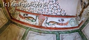 [P19] Scena cu păunii de pe peretele estic. » foto by tata123 🔱
 - 
<span class="allrVoted glyphicon glyphicon-heart hidden" id="av1523999"></span>
<a class="m-l-10 hidden" id="sv1523999" onclick="voting_Foto_DelVot(,1523999,3496)" role="button">șterge vot <span class="glyphicon glyphicon-remove"></span></a>
<a id="v91523999" class=" c-red"  onclick="voting_Foto_SetVot(1523999)" role="button"><span class="glyphicon glyphicon-heart-empty"></span> <b>LIKE</b> = Votează poza</a> <img class="hidden"  id="f1523999W9" src="/imagini/loader.gif" border="0" /><span class="AjErrMes hidden" id="e1523999ErM"></span>