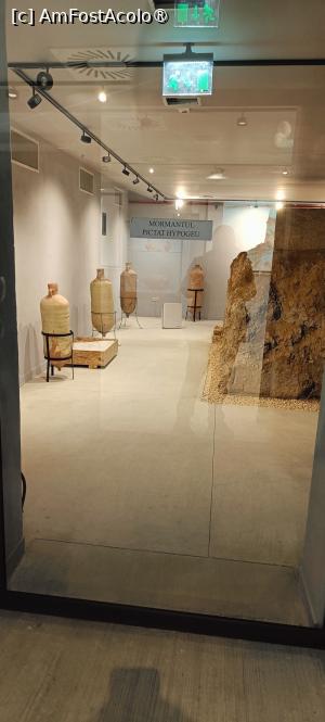 [P08] Vedem mormântul prin spațiul izolant. » foto by tata123 🔱
 - 
<span class="allrVoted glyphicon glyphicon-heart hidden" id="av1523988"></span>
<a class="m-l-10 hidden" id="sv1523988" onclick="voting_Foto_DelVot(,1523988,3496)" role="button">șterge vot <span class="glyphicon glyphicon-remove"></span></a>
<a id="v91523988" class=" c-red"  onclick="voting_Foto_SetVot(1523988)" role="button"><span class="glyphicon glyphicon-heart-empty"></span> <b>LIKE</b> = Votează poza</a> <img class="hidden"  id="f1523988W9" src="/imagini/loader.gif" border="0" /><span class="AjErrMes hidden" id="e1523988ErM"></span>