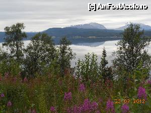 P48 [JUL-2013] De-a lungul fiordului Balsfjord, spre Nordkjosbotn. 