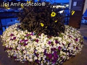 [P49] pe dig, lacul Mjosa » foto by Yolanda
 - 
<span class="allrVoted glyphicon glyphicon-heart hidden" id="av1265652"></span>
<a class="m-l-10 hidden" id="sv1265652" onclick="voting_Foto_DelVot(,1265652,3499)" role="button">șterge vot <span class="glyphicon glyphicon-remove"></span></a>
<a id="v91265652" class=" c-red"  onclick="voting_Foto_SetVot(1265652)" role="button"><span class="glyphicon glyphicon-heart-empty"></span> <b>LIKE</b> = Votează poza</a> <img class="hidden"  id="f1265652W9" src="/imagini/loader.gif" border="0" /><span class="AjErrMes hidden" id="e1265652ErM"></span>