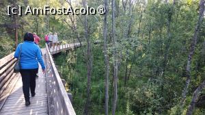 [P12] Muzeul Alta » foto by elenaadina
 - 
<span class="allrVoted glyphicon glyphicon-heart hidden" id="av1512709"></span>
<a class="m-l-10 hidden" id="sv1512709" onclick="voting_Foto_DelVot(,1512709,3499)" role="button">șterge vot <span class="glyphicon glyphicon-remove"></span></a>
<a id="v91512709" class=" c-red"  onclick="voting_Foto_SetVot(1512709)" role="button"><span class="glyphicon glyphicon-heart-empty"></span> <b>LIKE</b> = Votează poza</a> <img class="hidden"  id="f1512709W9" src="/imagini/loader.gif" border="0" /><span class="AjErrMes hidden" id="e1512709ErM"></span>