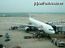 [P09] Dragonair, avionul nostru pe ruta Shanghai - Hong Kong » foto by badge®
 - 
<span class="allrVoted glyphicon glyphicon-heart hidden" id="av169357"></span>
<a class="m-l-10 hidden" id="sv169357" onclick="voting_Foto_DelVot(,169357,3501)" role="button">șterge vot <span class="glyphicon glyphicon-remove"></span></a>
<a id="v9169357" class=" c-red"  onclick="voting_Foto_SetVot(169357)" role="button"><span class="glyphicon glyphicon-heart-empty"></span> <b>LIKE</b> = Votează poza</a> <img class="hidden"  id="f169357W9" src="/imagini/loader.gif" border="0" /><span class="AjErrMes hidden" id="e169357ErM"></span>