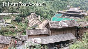 [P53]  -- <small>// FĂRĂ DESCRIERE</small> » foto by elenaadina
 - 
<span class="allrVoted glyphicon glyphicon-heart hidden" id="av1505653"></span>
<a class="m-l-10 hidden" id="sv1505653" onclick="voting_Foto_DelVot(,1505653,3501)" role="button">șterge vot <span class="glyphicon glyphicon-remove"></span></a>
<a id="v91505653" class=" c-red"  onclick="voting_Foto_SetVot(1505653)" role="button"><span class="glyphicon glyphicon-heart-empty"></span> <b>LIKE</b> = Votează poza</a> <img class="hidden"  id="f1505653W9" src="/imagini/loader.gif" border="0" /><span class="AjErrMes hidden" id="e1505653ErM"></span>