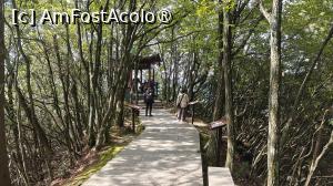 [P17] prin parc zona Tianzi » foto by elenaadina
 - 
<span class="allrVoted glyphicon glyphicon-heart hidden" id="av1506506"></span>
<a class="m-l-10 hidden" id="sv1506506" onclick="voting_Foto_DelVot(,1506506,3501)" role="button">șterge vot <span class="glyphicon glyphicon-remove"></span></a>
<a id="v91506506" class=" c-red"  onclick="voting_Foto_SetVot(1506506)" role="button"><span class="glyphicon glyphicon-heart-empty"></span> <b>LIKE</b> = Votează poza</a> <img class="hidden"  id="f1506506W9" src="/imagini/loader.gif" border="0" /><span class="AjErrMes hidden" id="e1506506ErM"></span>