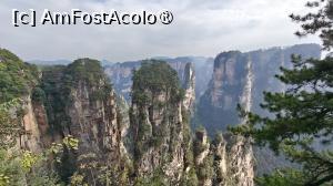 [P55]  -- <small>// FĂRĂ DESCRIERE</small> » foto by elenaadina
 - 
<span class="allrVoted glyphicon glyphicon-heart hidden" id="av1506544"></span>
<a class="m-l-10 hidden" id="sv1506544" onclick="voting_Foto_DelVot(,1506544,3501)" role="button">șterge vot <span class="glyphicon glyphicon-remove"></span></a>
<a id="v91506544" class=" c-red"  onclick="voting_Foto_SetVot(1506544)" role="button"><span class="glyphicon glyphicon-heart-empty"></span> <b>LIKE</b> = Votează poza</a> <img class="hidden"  id="f1506544W9" src="/imagini/loader.gif" border="0" /><span class="AjErrMes hidden" id="e1506544ErM"></span>