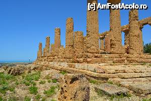 [P20] Unul din cele 4 temple de la Agrigento » foto by marmin
 - 
<span class="allrVoted glyphicon glyphicon-heart hidden" id="av425129"></span>
<a class="m-l-10 hidden" id="sv425129" onclick="voting_Foto_DelVot(,425129,3509)" role="button">șterge vot <span class="glyphicon glyphicon-remove"></span></a>
<a id="v9425129" class=" c-red"  onclick="voting_Foto_SetVot(425129)" role="button"><span class="glyphicon glyphicon-heart-empty"></span> <b>LIKE</b> = Votează poza</a> <img class="hidden"  id="f425129W9" src="/imagini/loader.gif" border="0" /><span class="AjErrMes hidden" id="e425129ErM"></span>