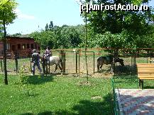 [P05] zona de echitatie ;) » foto by chelie_d
 - 
<span class="allrVoted glyphicon glyphicon-heart hidden" id="av90984"></span>
<a class="m-l-10 hidden" id="sv90984" onclick="voting_Foto_DelVot(,90984,3511)" role="button">șterge vot <span class="glyphicon glyphicon-remove"></span></a>
<a id="v990984" class=" c-red"  onclick="voting_Foto_SetVot(90984)" role="button"><span class="glyphicon glyphicon-heart-empty"></span> <b>LIKE</b> = Votează poza</a> <img class="hidden"  id="f90984W9" src="/imagini/loader.gif" border="0" /><span class="AjErrMes hidden" id="e90984ErM"></span>