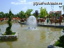 [P08] exista si nuferi(din plastic) » foto by chelie_d
 - 
<span class="allrVoted glyphicon glyphicon-heart hidden" id="av90987"></span>
<a class="m-l-10 hidden" id="sv90987" onclick="voting_Foto_DelVot(,90987,3511)" role="button">șterge vot <span class="glyphicon glyphicon-remove"></span></a>
<a id="v990987" class=" c-red"  onclick="voting_Foto_SetVot(90987)" role="button"><span class="glyphicon glyphicon-heart-empty"></span> <b>LIKE</b> = Votează poza</a> <img class="hidden"  id="f90987W9" src="/imagini/loader.gif" border="0" /><span class="AjErrMes hidden" id="e90987ErM"></span>