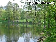 [P11] Lacul din Parcul Circului, secat mult...se vad si radacinile unor copaci...ce pacat... » foto by ileanaxperta*
 - 
<span class="allrVoted glyphicon glyphicon-heart hidden" id="av67512"></span>
<a class="m-l-10 hidden" id="sv67512" onclick="voting_Foto_DelVot(,67512,3511)" role="button">șterge vot <span class="glyphicon glyphicon-remove"></span></a>
<a id="v967512" class=" c-red"  onclick="voting_Foto_SetVot(67512)" role="button"><span class="glyphicon glyphicon-heart-empty"></span> <b>LIKE</b> = Votează poza</a> <img class="hidden"  id="f67512W9" src="/imagini/loader.gif" border="0" /><span class="AjErrMes hidden" id="e67512ErM"></span>