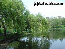 [P14] Salcii plangatoare ce-si vad in luciul lacului din Parcul Circului, verdeata proaspata de primavara...mi-a amintit de Plitvice... » foto by ileanaxperta*
 - 
<span class="allrVoted glyphicon glyphicon-heart hidden" id="av67515"></span>
<a class="m-l-10 hidden" id="sv67515" onclick="voting_Foto_DelVot(,67515,3511)" role="button">șterge vot <span class="glyphicon glyphicon-remove"></span></a>
<a id="v967515" class=" c-red"  onclick="voting_Foto_SetVot(67515)" role="button"><span class="glyphicon glyphicon-heart-empty"></span> <b>LIKE</b> = Votează poza</a> <img class="hidden"  id="f67515W9" src="/imagini/loader.gif" border="0" /><span class="AjErrMes hidden" id="e67515ErM"></span>