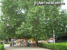 [P02] Pe aleile dinspre orasel vanzatori de tot felul de jucarii si dulciuri » foto by pink_gabi*
 - 
<span class="allrVoted glyphicon glyphicon-heart hidden" id="av87425"></span>
<a class="m-l-10 hidden" id="sv87425" onclick="voting_Foto_DelVot(,87425,3511)" role="button">șterge vot <span class="glyphicon glyphicon-remove"></span></a>
<a id="v987425" class=" c-red"  onclick="voting_Foto_SetVot(87425)" role="button"><span class="glyphicon glyphicon-heart-empty"></span> <b>LIKE</b> = Votează poza</a> <img class="hidden"  id="f87425W9" src="/imagini/loader.gif" border="0" /><span class="AjErrMes hidden" id="e87425ErM"></span>