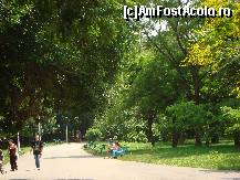 [P24] Pe aleile din parcul Tineretului » foto by pink_gabi*
 - 
<span class="allrVoted glyphicon glyphicon-heart hidden" id="av87455"></span>
<a class="m-l-10 hidden" id="sv87455" onclick="voting_Foto_DelVot(,87455,3511)" role="button">șterge vot <span class="glyphicon glyphicon-remove"></span></a>
<a id="v987455" class=" c-red"  onclick="voting_Foto_SetVot(87455)" role="button"><span class="glyphicon glyphicon-heart-empty"></span> <b>LIKE</b> = Votează poza</a> <img class="hidden"  id="f87455W9" src="/imagini/loader.gif" border="0" /><span class="AjErrMes hidden" id="e87455ErM"></span>