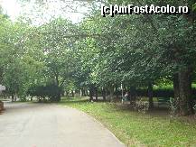 [P03] Parcul este spatios cu alei largi si verdeata » foto by pink_gabi*
 - 
<span class="allrVoted glyphicon glyphicon-heart hidden" id="av87427"></span>
<a class="m-l-10 hidden" id="sv87427" onclick="voting_Foto_DelVot(,87427,3511)" role="button">șterge vot <span class="glyphicon glyphicon-remove"></span></a>
<a id="v987427" class=" c-red"  onclick="voting_Foto_SetVot(87427)" role="button"><span class="glyphicon glyphicon-heart-empty"></span> <b>LIKE</b> = Votează poza</a> <img class="hidden"  id="f87427W9" src="/imagini/loader.gif" border="0" /><span class="AjErrMes hidden" id="e87427ErM"></span>