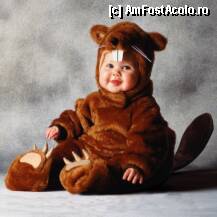 [P03] Cuminte, bun dar si poznas! » foto by wasi
 - 
<span class="allrVoted glyphicon glyphicon-heart hidden" id="av105105"></span>
<a class="m-l-10 hidden" id="sv105105" onclick="voting_Foto_DelVot(,105105,3511)" role="button">șterge vot <span class="glyphicon glyphicon-remove"></span></a>
<a id="v9105105" class=" c-red"  onclick="voting_Foto_SetVot(105105)" role="button"><span class="glyphicon glyphicon-heart-empty"></span> <b>LIKE</b> = Votează poza</a> <img class="hidden"  id="f105105W9" src="/imagini/loader.gif" border="0" /><span class="AjErrMes hidden" id="e105105ErM"></span>