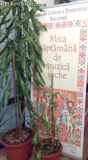 [P28] Preoteasa, București » foto by Mioritik
 - 
<span class="allrVoted glyphicon glyphicon-heart hidden" id="av1294598"></span>
<a class="m-l-10 hidden" id="sv1294598" onclick="voting_Foto_DelVot(,1294598,3511)" role="button">șterge vot <span class="glyphicon glyphicon-remove"></span></a>
<a id="v91294598" class=" c-red"  onclick="voting_Foto_SetVot(1294598)" role="button"><span class="glyphicon glyphicon-heart-empty"></span> <b>LIKE</b> = Votează poza</a> <img class="hidden"  id="f1294598W9" src="/imagini/loader.gif" border="0" /><span class="AjErrMes hidden" id="e1294598ErM"></span>