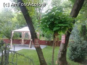 [P29] Grădina Palatului Bragadiru » foto by Mioritik
 - 
<span class="allrVoted glyphicon glyphicon-heart hidden" id="av1365112"></span>
<a class="m-l-10 hidden" id="sv1365112" onclick="voting_Foto_DelVot(,1365112,3511)" role="button">șterge vot <span class="glyphicon glyphicon-remove"></span></a>
<a id="v91365112" class=" c-red"  onclick="voting_Foto_SetVot(1365112)" role="button"><span class="glyphicon glyphicon-heart-empty"></span> <b>LIKE</b> = Votează poza</a> <img class="hidden"  id="f1365112W9" src="/imagini/loader.gif" border="0" /><span class="AjErrMes hidden" id="e1365112ErM"></span>